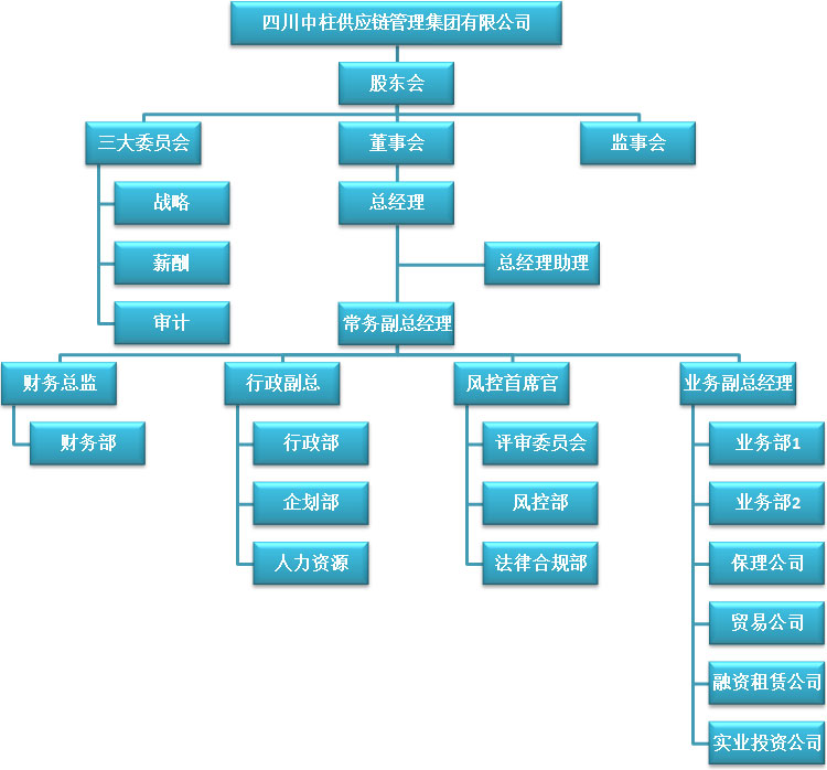 组织架构 - 四川中柱供应链管理集团有限公司